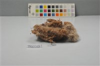 藏品(鳥巢)的圖片
